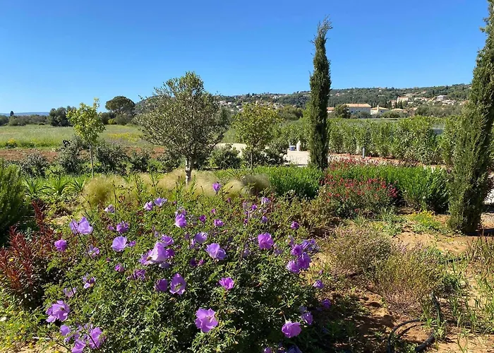 Avgi Luxury Σβορωνάτα