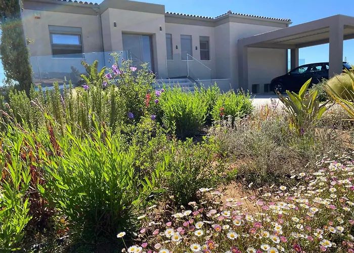 Avgi Luxury * Σβορωνάτα